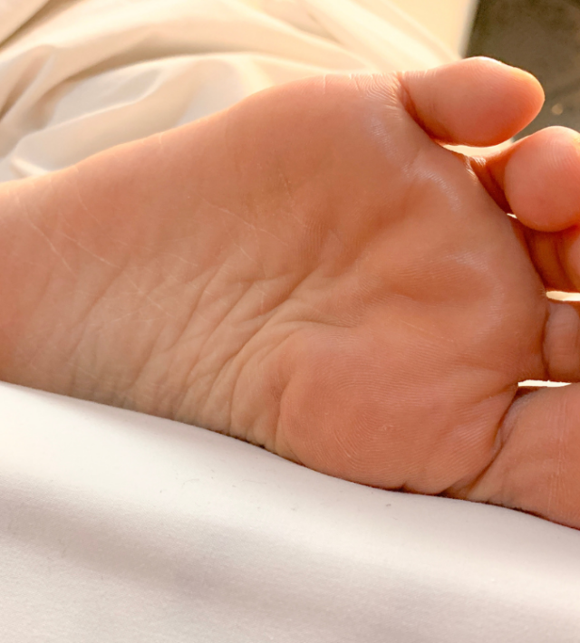 Μία πατούσα σε ξαπλωμένη θέση.